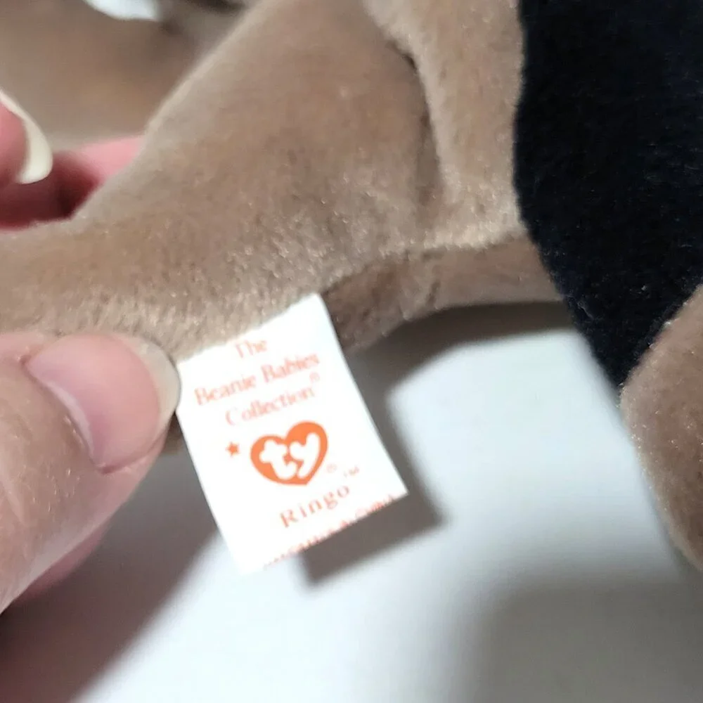 TY Beanie Baby Ringo the Racoon NWT 1995 Retired